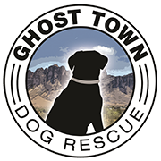 Ghost Town Dog Rescue