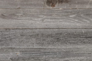 adoptable dogs| wooden background
